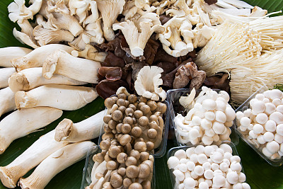 mushroom