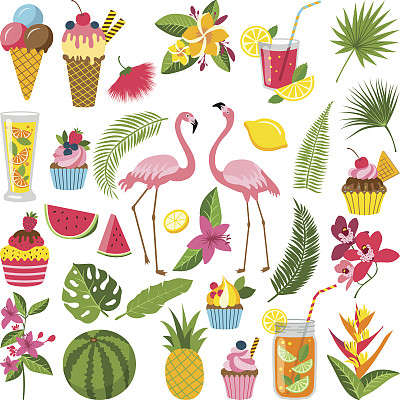 flamingo