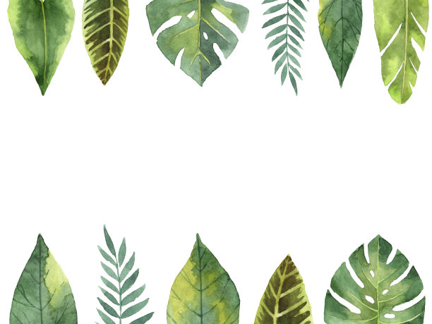 水彩花朵装饰画