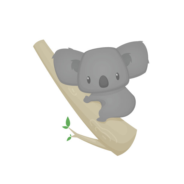 koala