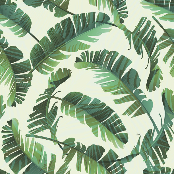 织物图案四方连续图