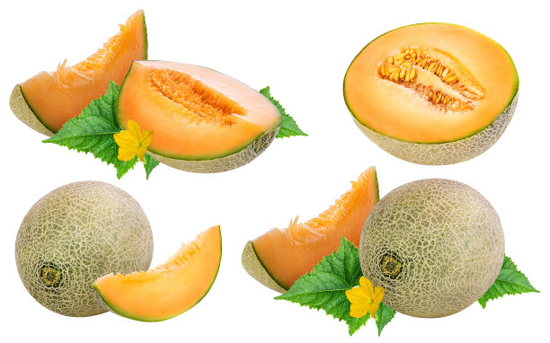 cantaloupe