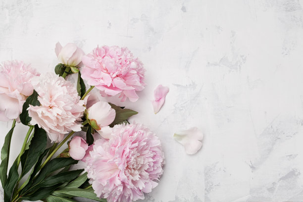 blooming