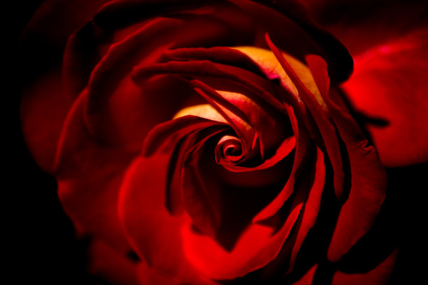 fractal