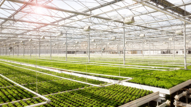 greenhouse