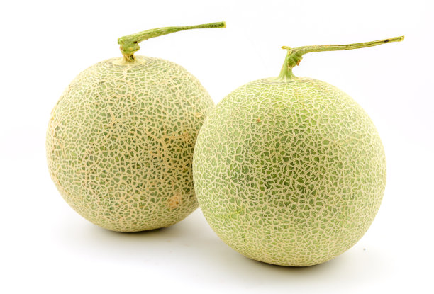 cantaloupe
