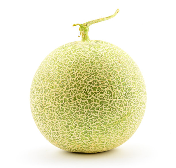 cantaloupe