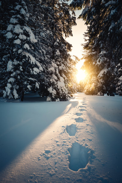 山林雪景