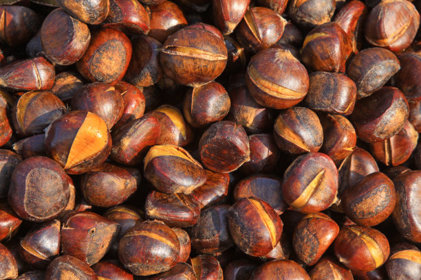 chestnut