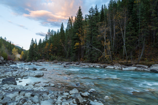stream