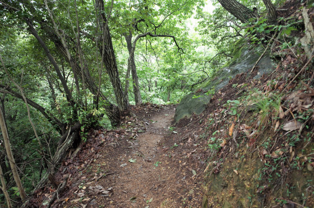 登山栈道