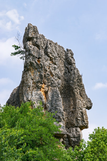 石林地质地貌