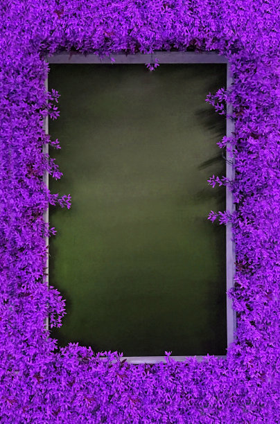 紫色木制相框