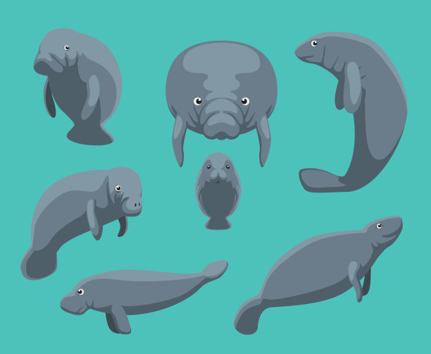 海牛