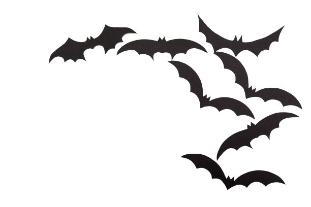 bat