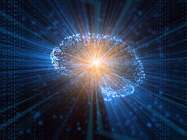 brain