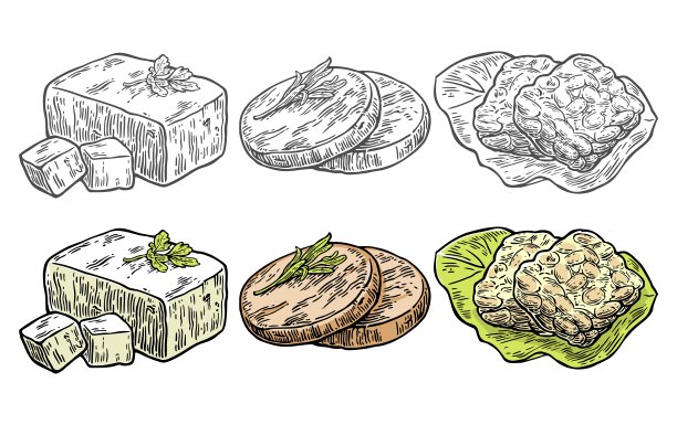 protein