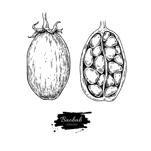 baobab