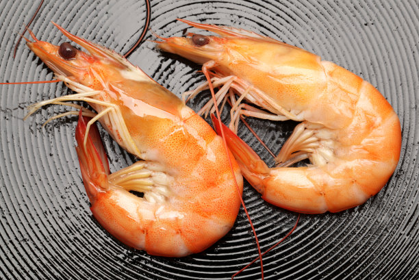 shrimp