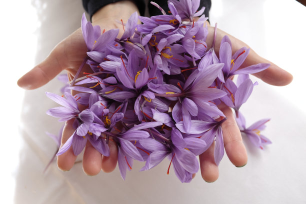 saffron