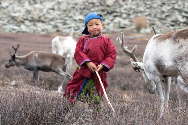 mongol
