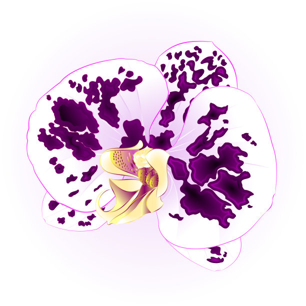 花簇,花头,花