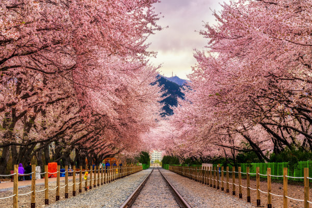 korea