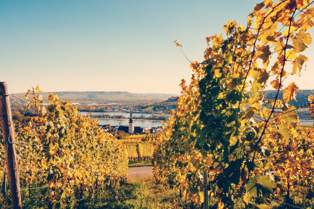 rudesheim
