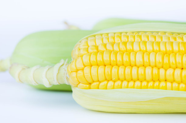maize