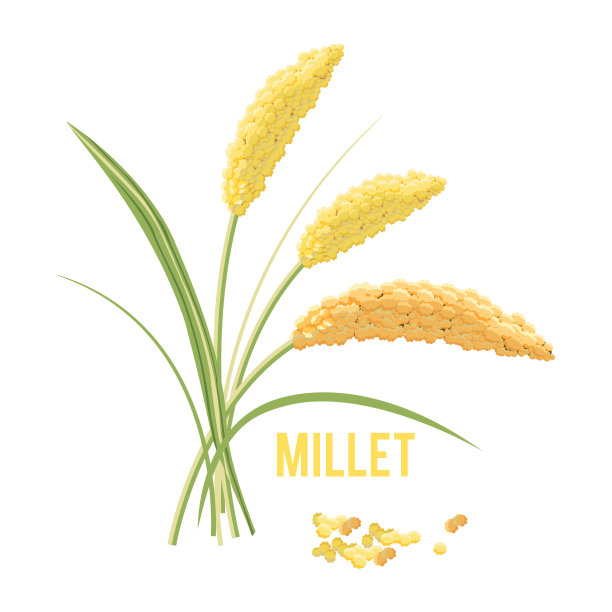 millet