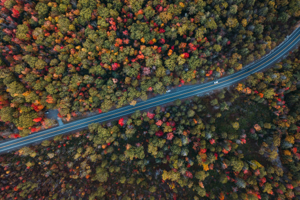 公路秋景