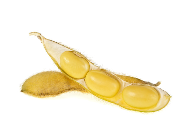 pod