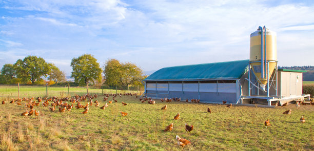 farm