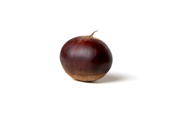 chestnut