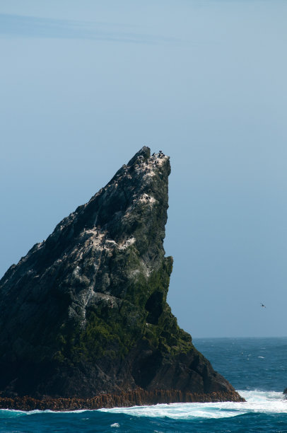 乔治亚州