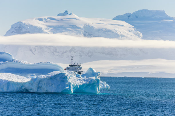 arctic