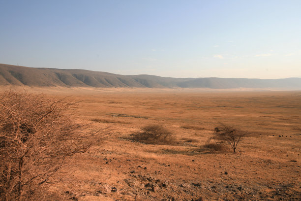 ngorongoro