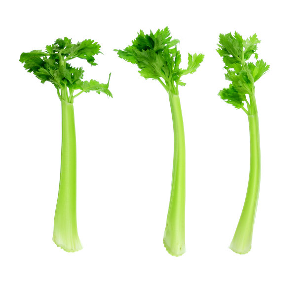 celery