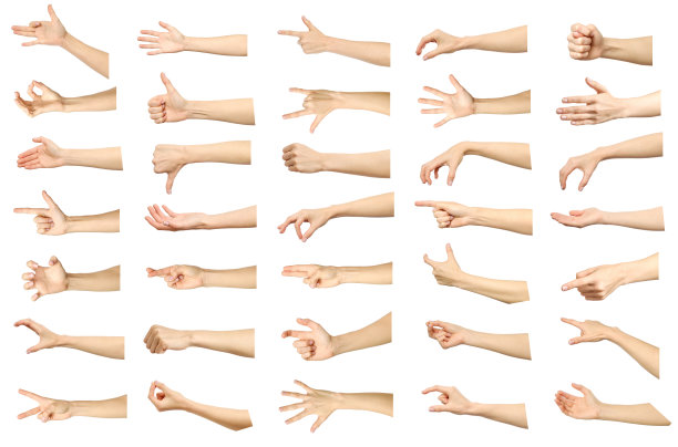 arms
