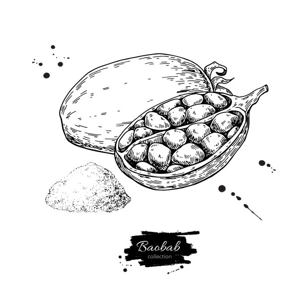 baobab