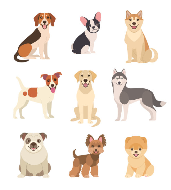 狗狗插画