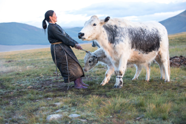 mongol