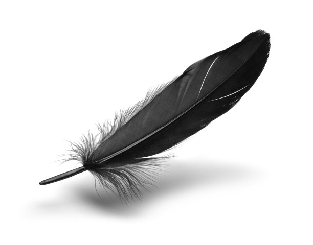 feathers