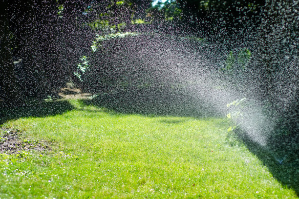 irrigation