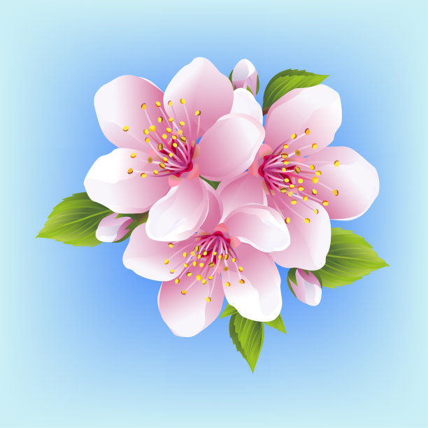 开花时间间隔