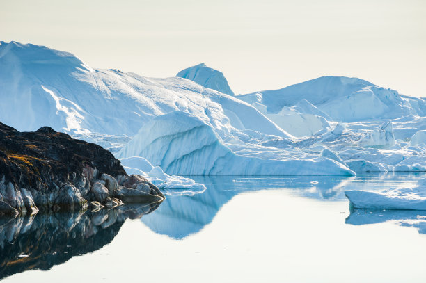 arctic