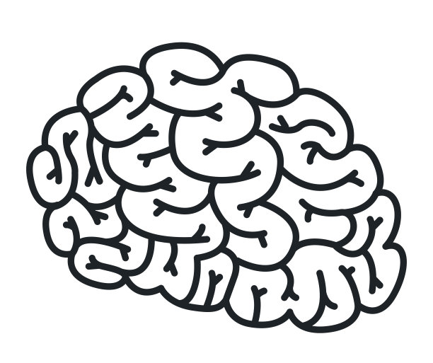 brain