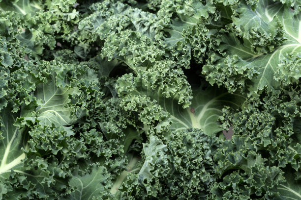 kale