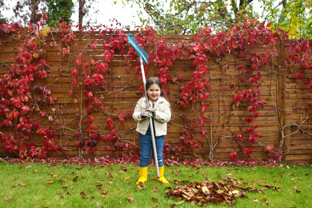 rake