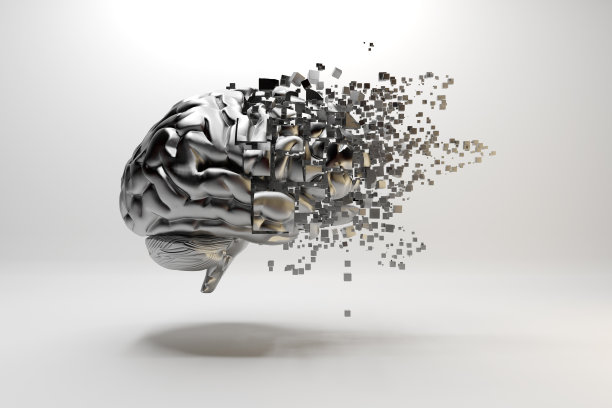 brain